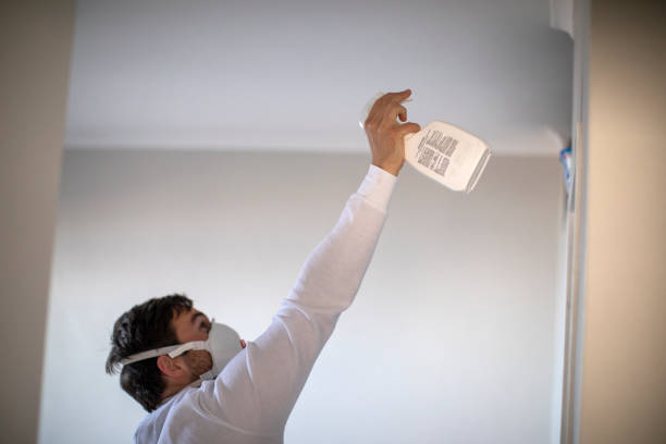 Best Fast Mold Removal  in Lake Mills, IA