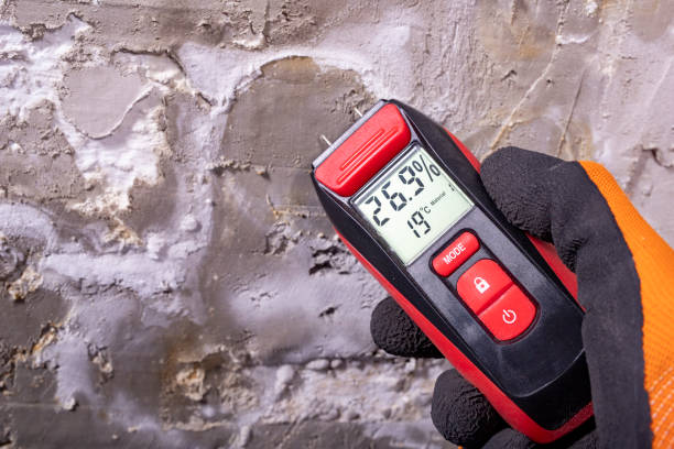 Best Commercial Mold Removal  in Lake Mills, IA